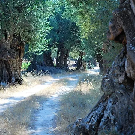 Διαμέρισμα Villasabella 2 *