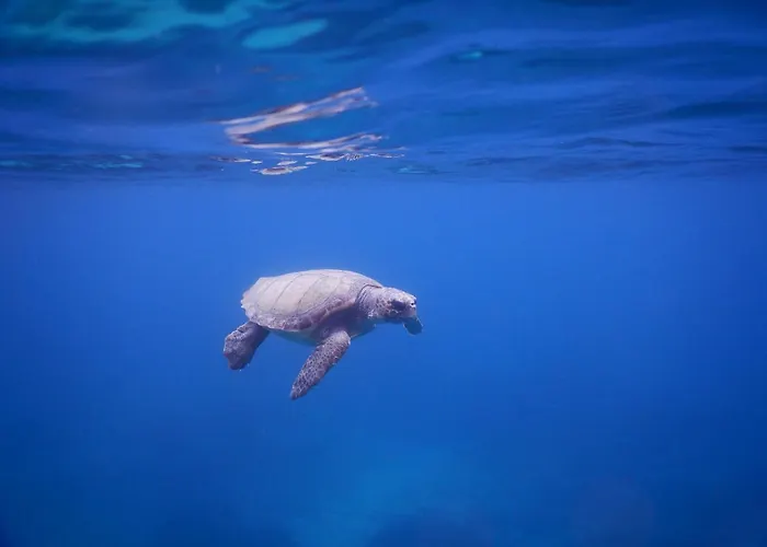 Apartmán Villasabella 2