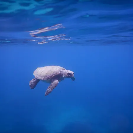 Lejlighed Villasabella 2